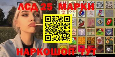 эйфоретик Аргун
