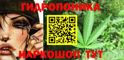 эйфоретик Аргун