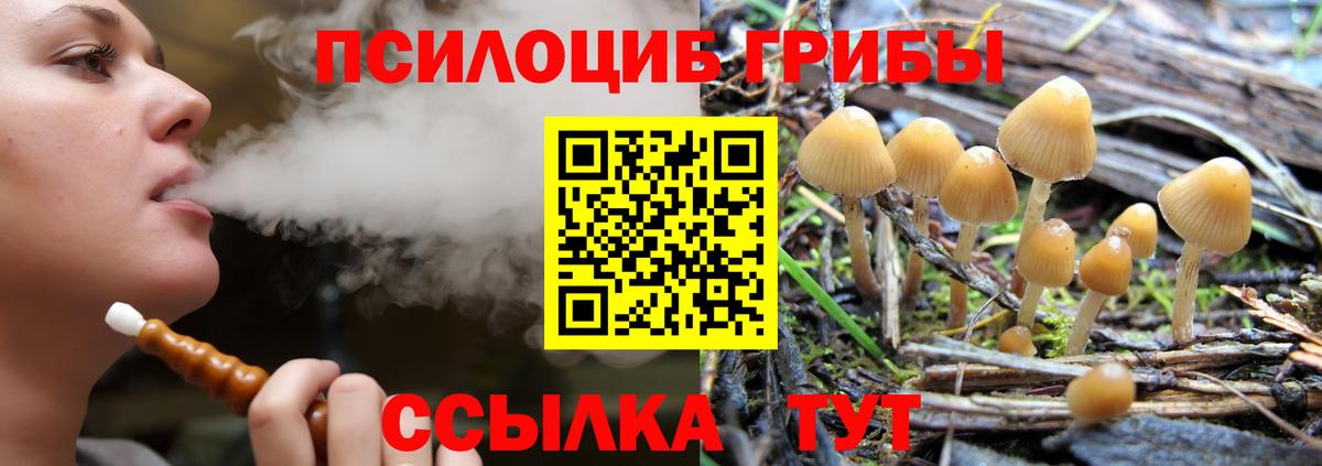Галлюциногенные грибы Magic Shrooms  где можно купить наркотик  Великий Устюг  Вход с VPN 